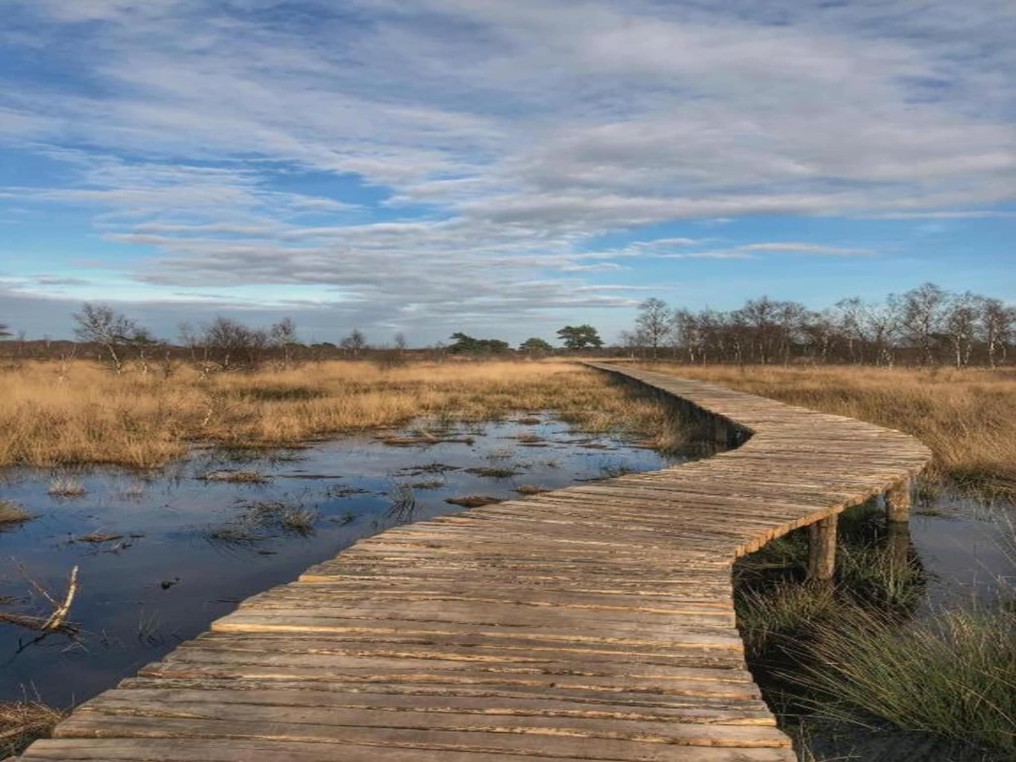 Park De Peel 1 in Vlierden - Foto 24 van 31