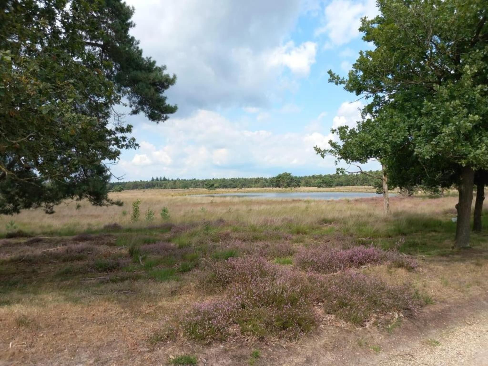 Park De Peel 1 in Vlierden - Foto 26 van 31