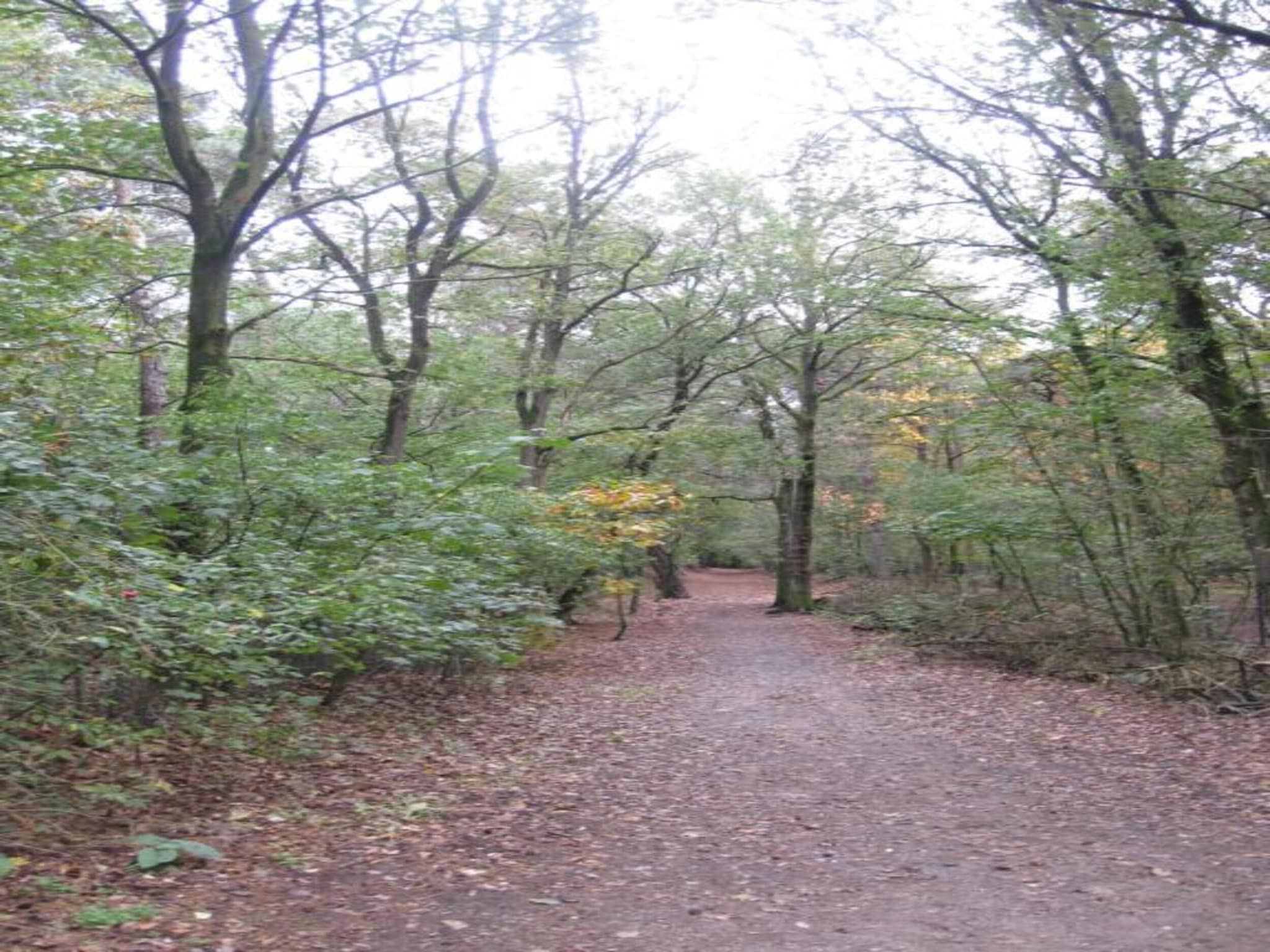 Park De Peel 3 in Vlierden - Foto 22 van 30