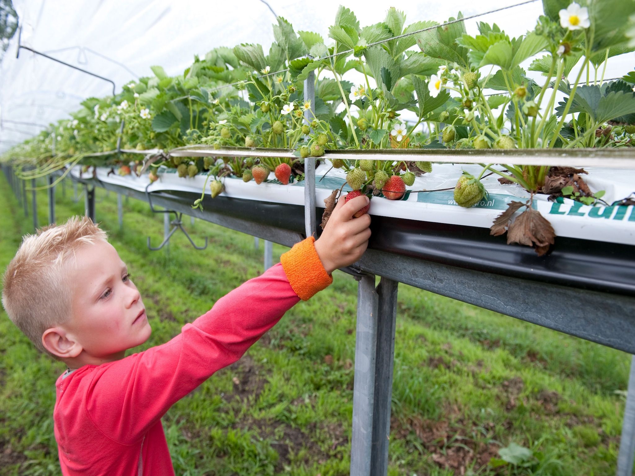 Park De Peel 4 in Vlierden - Foto 19 van 30