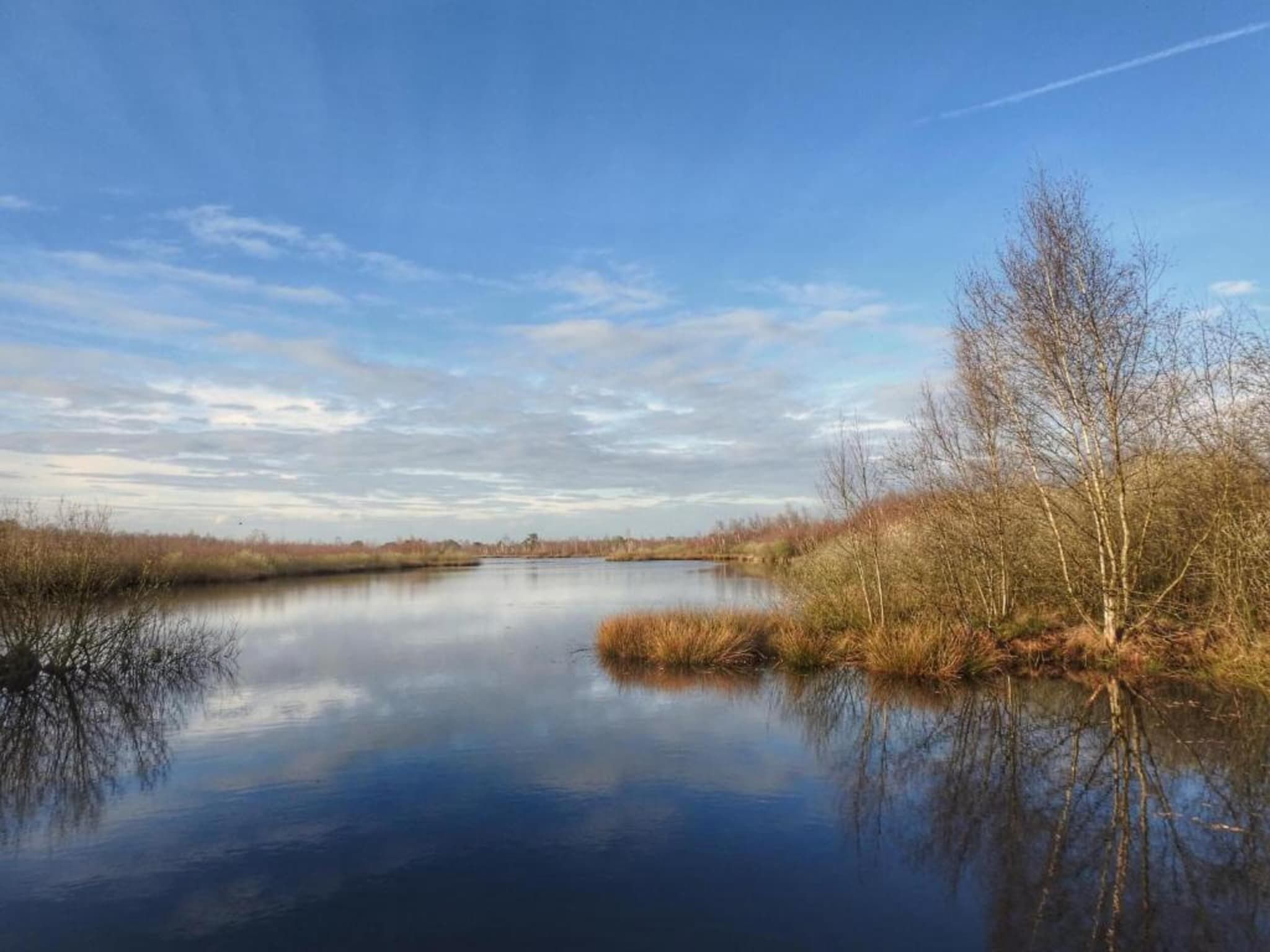 Park De Peel 5 in Vlierden - Foto 24 van 30