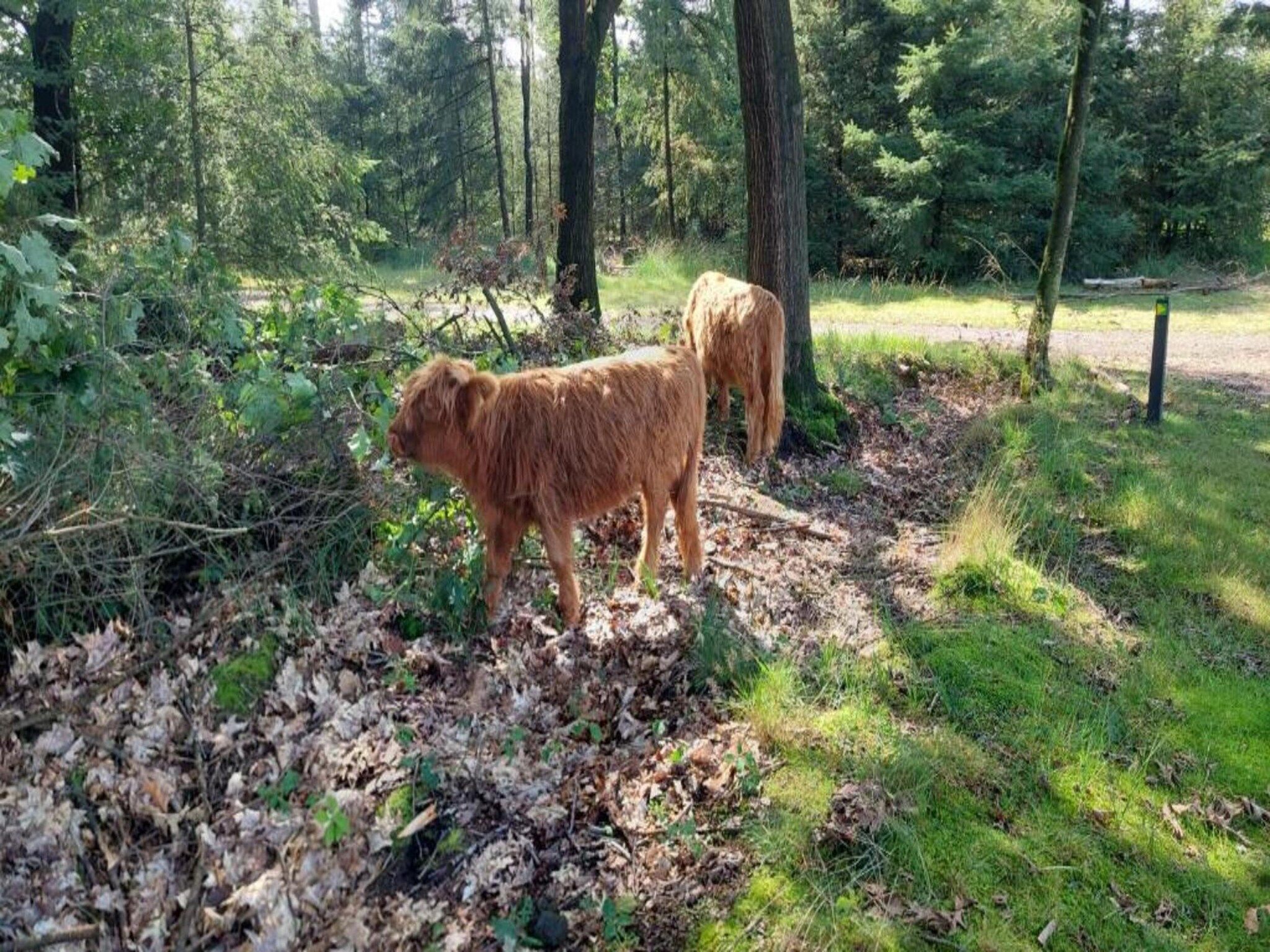 Park De Peel 5 in Vlierden - Foto 30 van 30