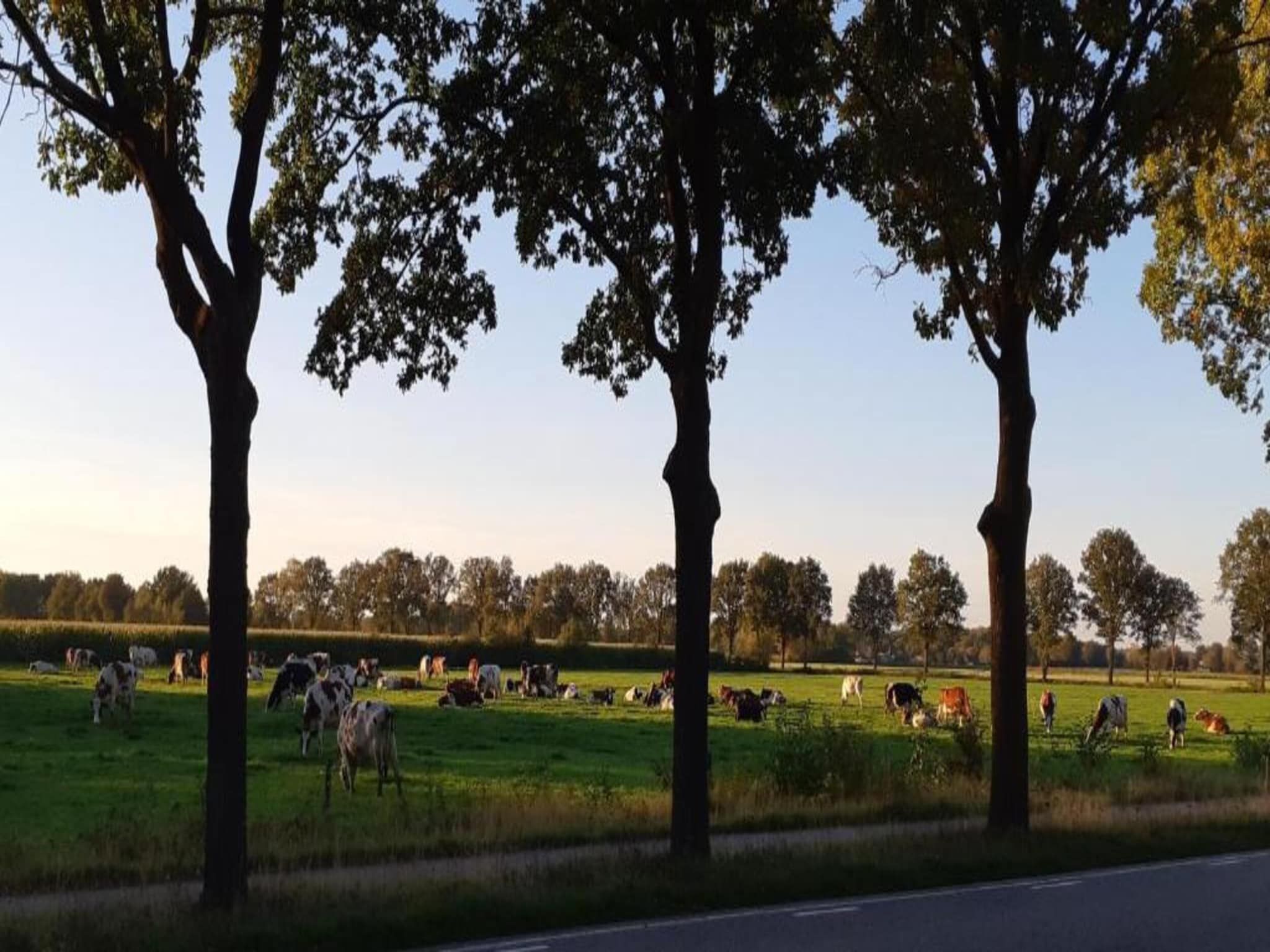 Vakantiepark Latour 3 in Oirschot - Foto 30 van 40