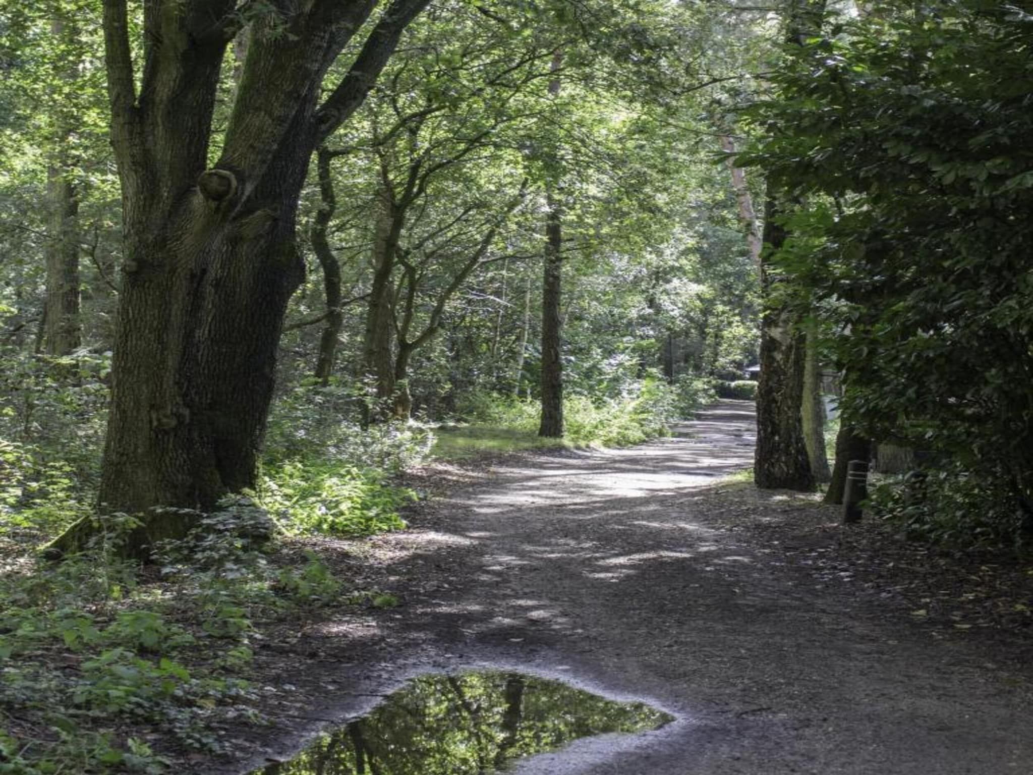 Vakantiepark Latour 3 in Oirschot - Foto 25 van 40