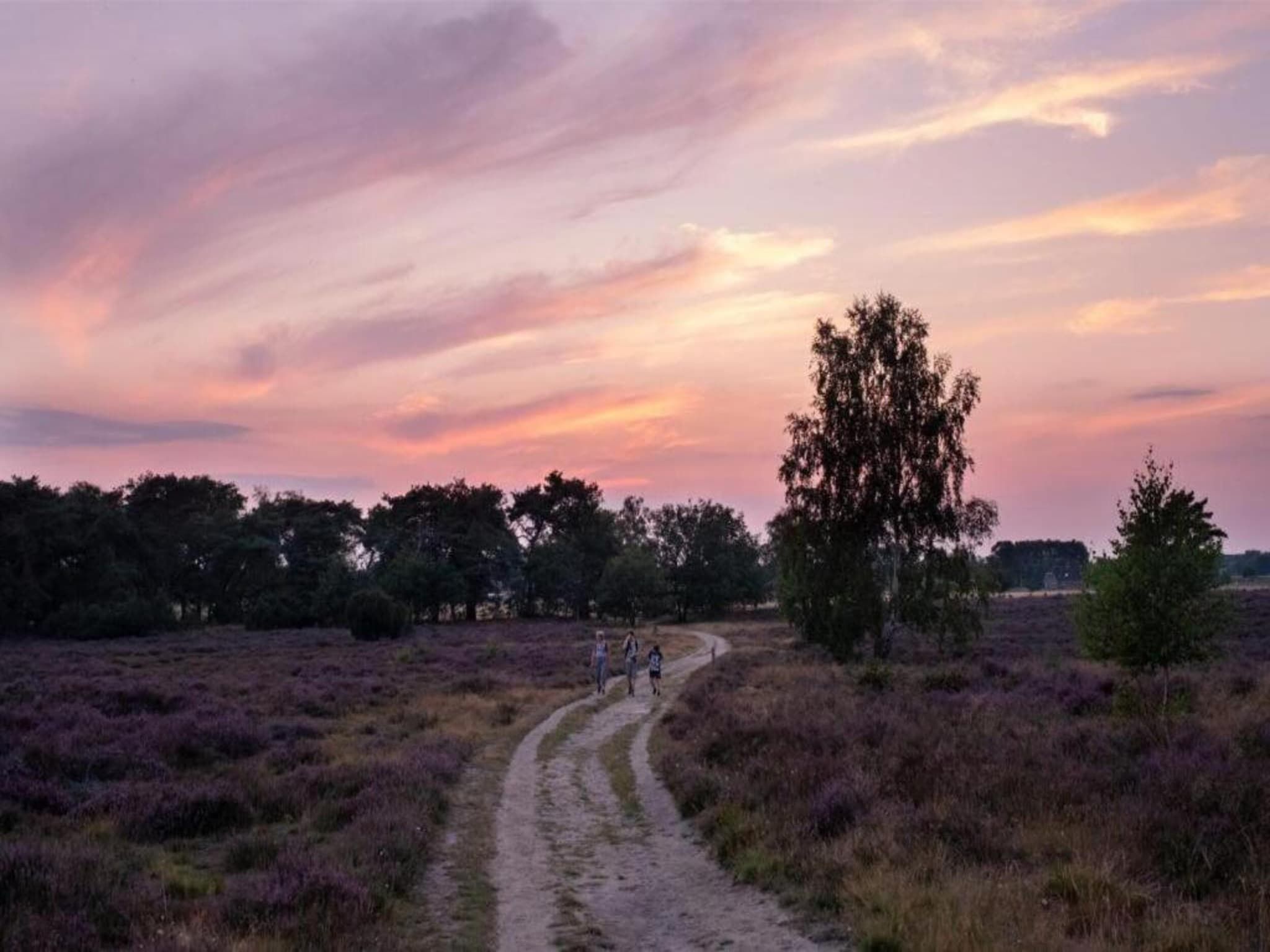 Buitenplaats Holten 16 in Rijssen - Foto 38 van 40