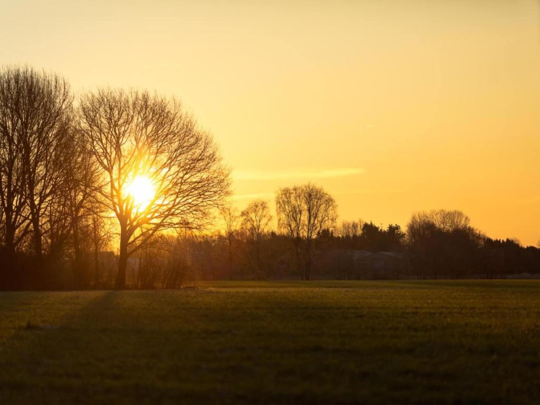 Vakantiepark Latour 1 in Oirschot - Foto 33 van 40