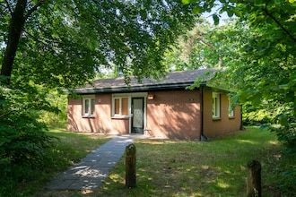 Huisdiervriendelijke bosontsnapping in Putten