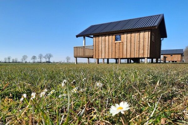 Buitenkant - Lodges in Drenthe met Uitzicht op Weiden in Ruinerwold (1)