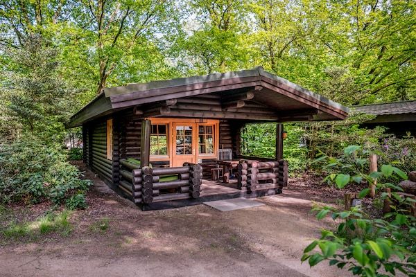 Buitenkant - Vakantiehuis in Brabant met Bubbelbad in Diessen-Baarschot (2)