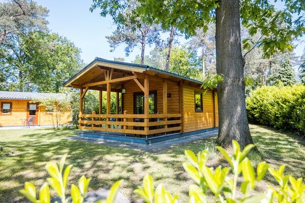 Buitenkant - Lodge in Markelo met Sauna en Zwembad in Markelo (2)