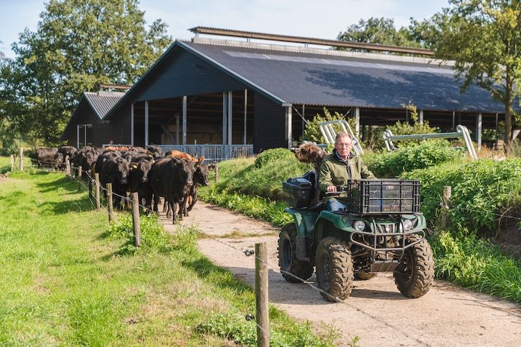 Sfeerbeeld van Erve Woolderink in Wierden